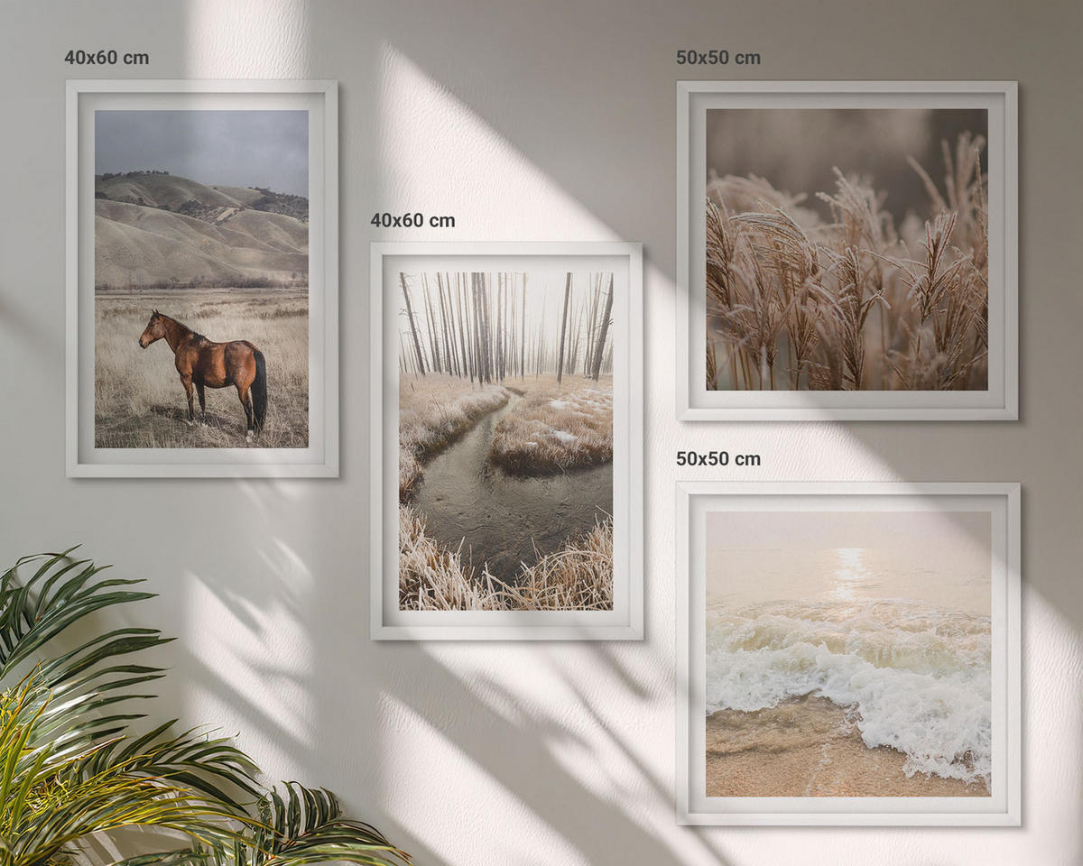 WANDBILDER 4er-Set - 50x50 cm & 40x60 cm Weißer Rahmen - Pferdelandschaft Seegraswald - Weiß, Kunststoff (50/50cm) - ArtPrintCave