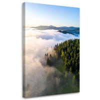 LEINWANDBILD Landschaft Wald Berge im Nebel 70x100cm - Grün, Textil (70/100cm) - Feeby