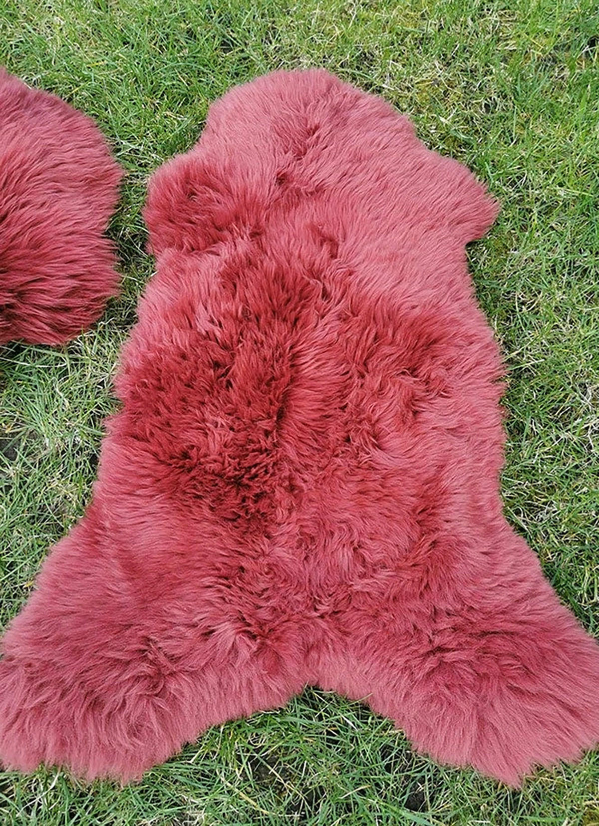 LAMMFELL Öko bunt gefärbt weich Fell Teppich Kirschenrot ca. 110 cm - Kirschrot, Fell (60/110cm) - Provellus