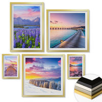 WANDBILDER 5er Set - 50x50 cm & 20x30 cm & 40x60 cm Goldrahmen - Winterlandschaft des Pierbergs - Goldfarben, Kunststoff (40/60cm) - ArtPrintCave