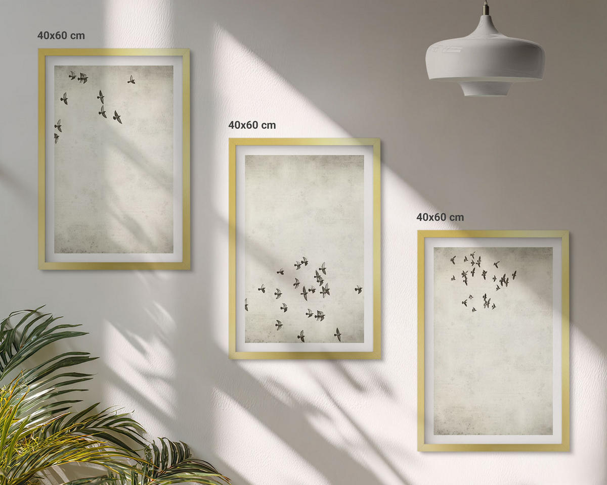 BILDER SET 3er Set - 40x60 cm Goldrahmen - Minimalistische Vogelmalerei - Goldfarben, Kunststoff (40/60cm) - TULUP