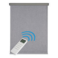 VERDUNKELUNGSROLLO motorisiert Silbergrau, 180 x 250 cm - Grau, Kunststoff (180/250cm) - STORESDECO
