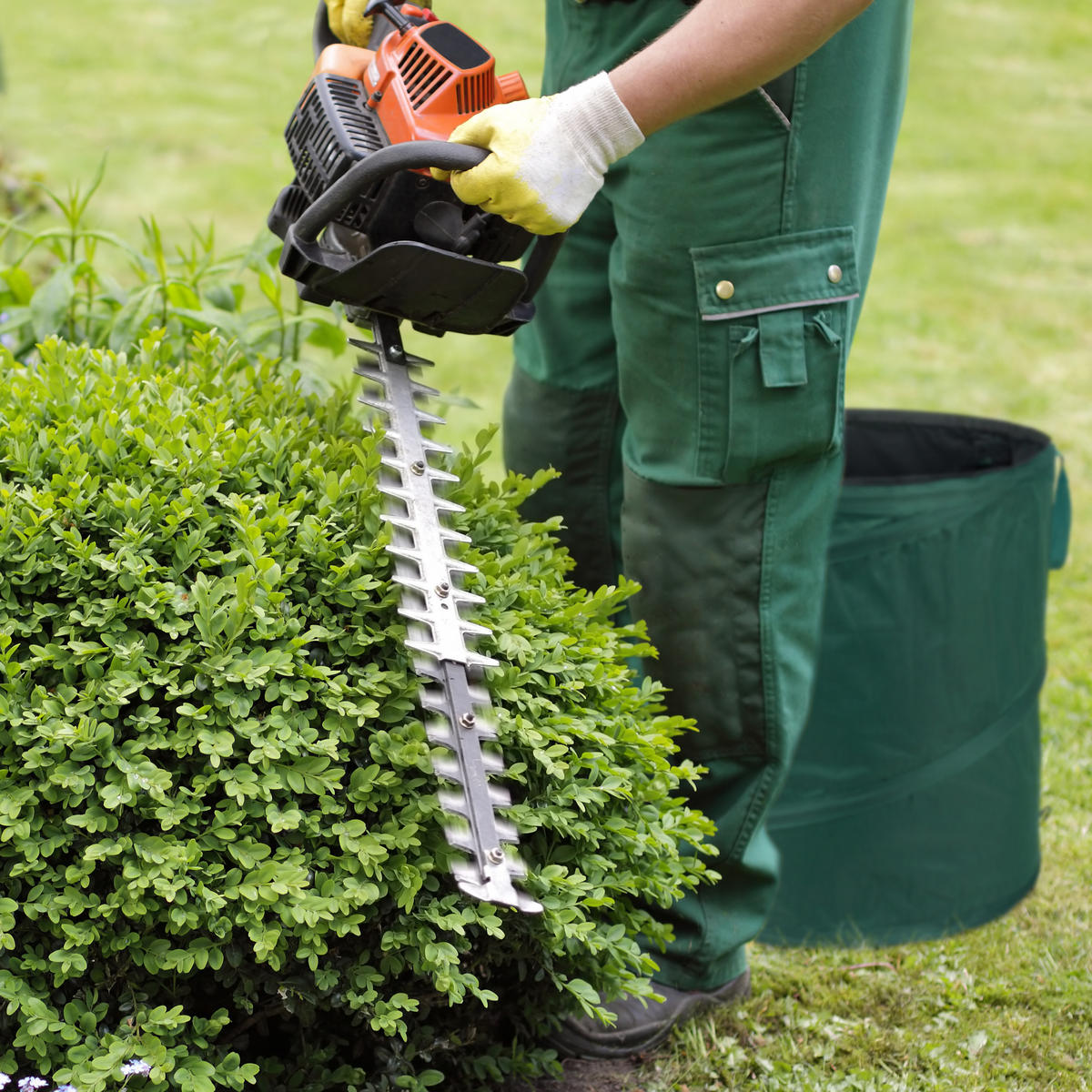 3XLAUBSACK - Dunkelgrün, Kunststoff/Textil (45/55/45cm) - Relaxdays