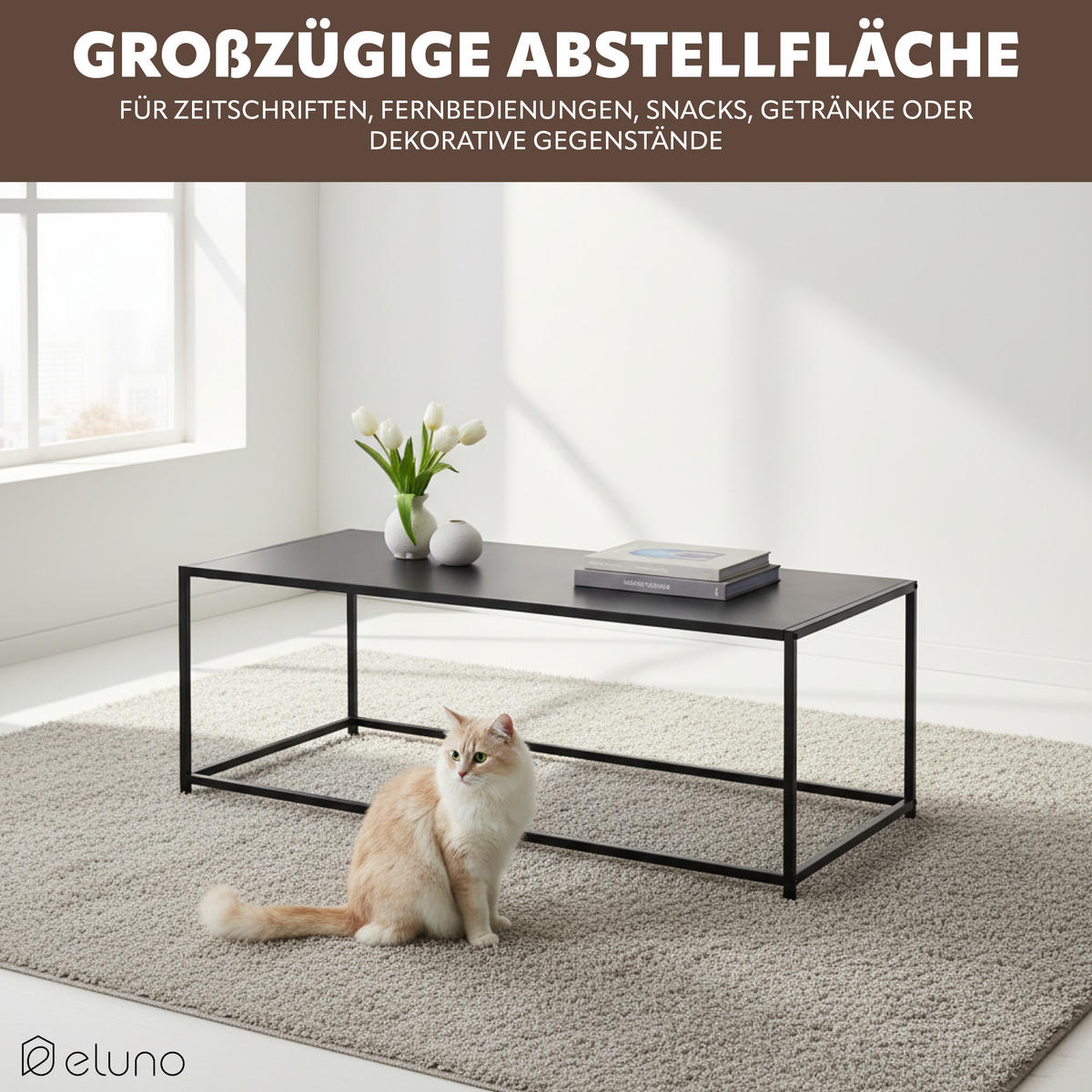 COUCHTISCH, schwarz, Metall - Schwarz, Metall (110/50/41cm) - eluno