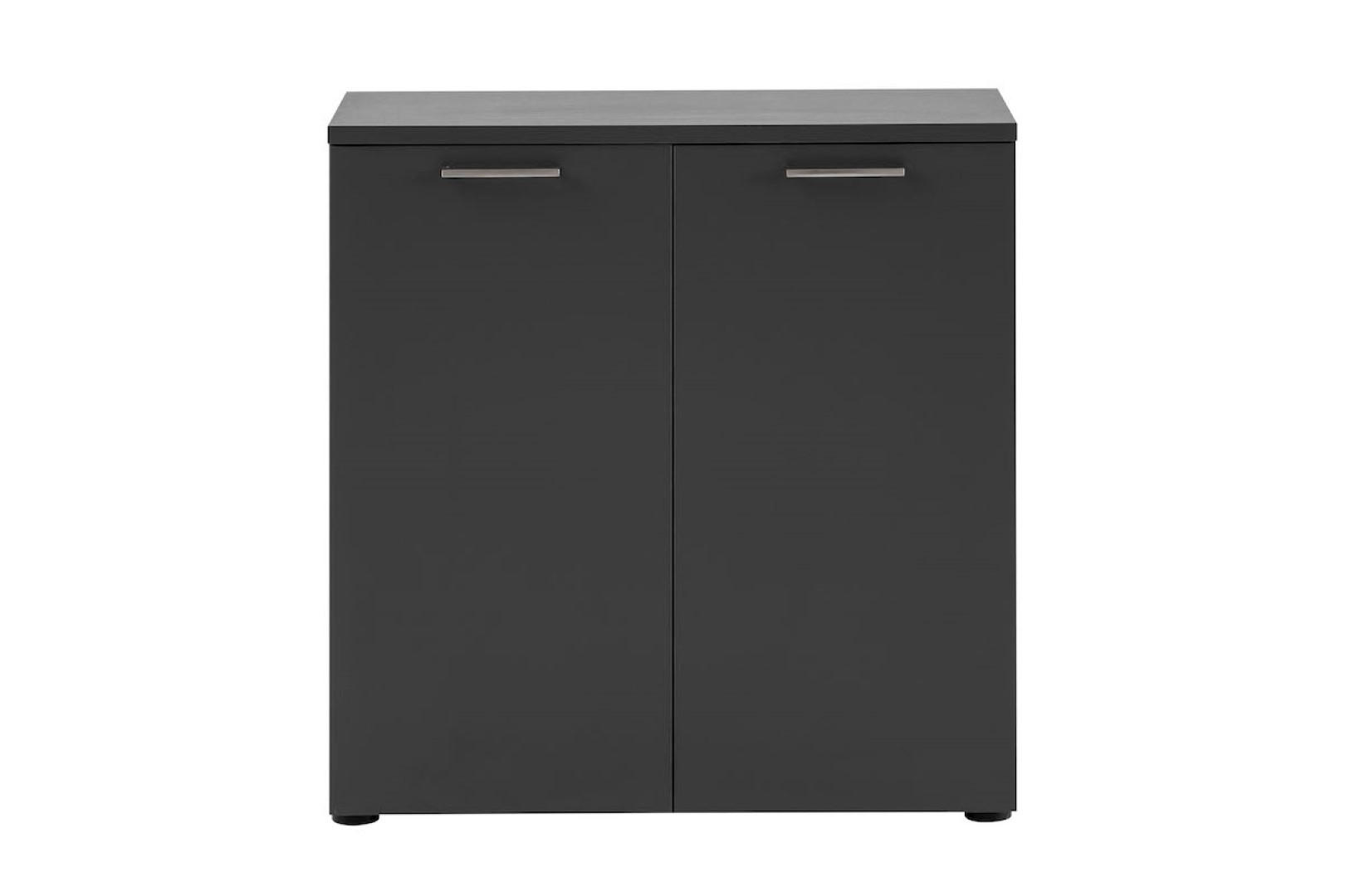 AKTENSCHRANK Hippo Small 84x80x41 cm 2 Fächern & 2 Flügeltüren Anthrazit - Anthrazit, Holz (80/84/41cm) - PROREGAL