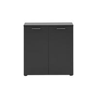 AKTENSCHRANK Hippo Small 84x80x41 cm 2 Fächern & 2 Flügeltüren Anthrazit - Anthrazit, Holz (80/84/41cm) - PROREGAL