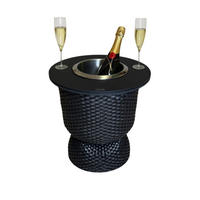 BEISTELLTISCH MIT EDELSTAHL-KÜHLER Paris Schwarz 43 cm - Schwarz, Kunststoff (41/41/43cm) - COOTAB Cooler Table