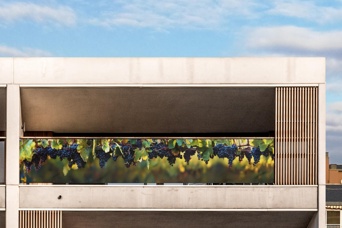 BALKON-SICHTSCHUTZ Trauben - Wein - Natur - Grün - Weinrot, Kunststoff (500/75cm) - MuchoWow