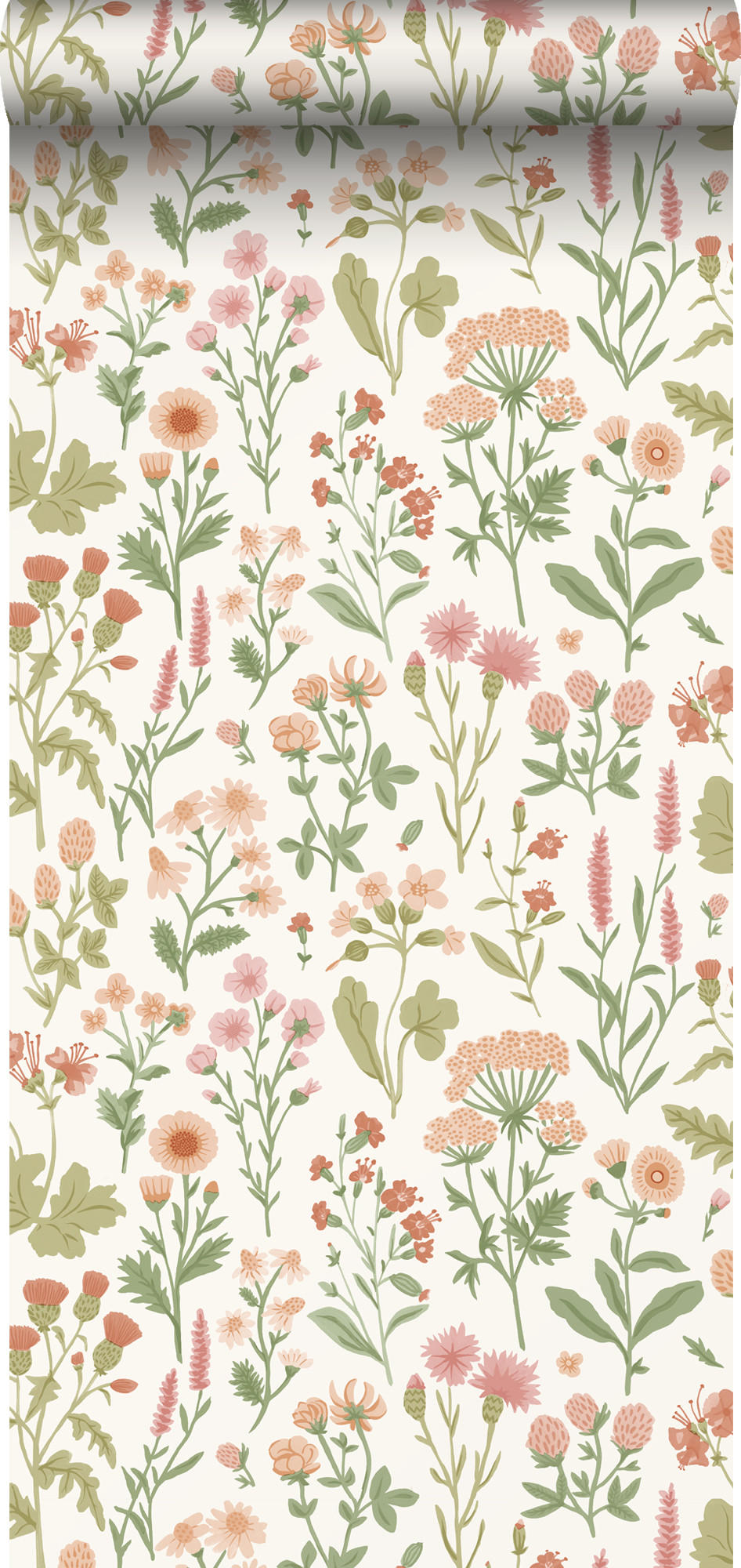 TAPETE Feldblumen 50 x 900 cm - Grün, Papier (50/900cm) - Sanders & Sanders