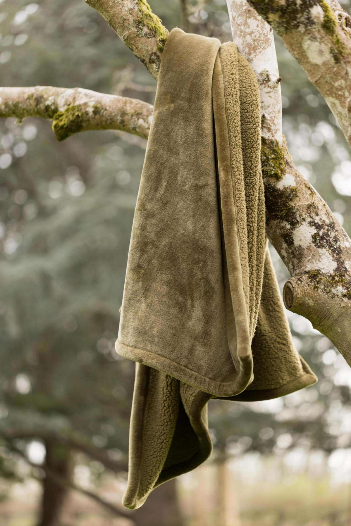 MAXI-PLAID Michka rosmarin 180 x 220 cm - Grün, Textil (180/220cm) - Vivaraise