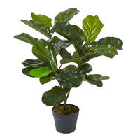 KUNSTPFLANZE Geigenfeige, 70 cm - Grün, Kunststoff (70cm) - Homescapes