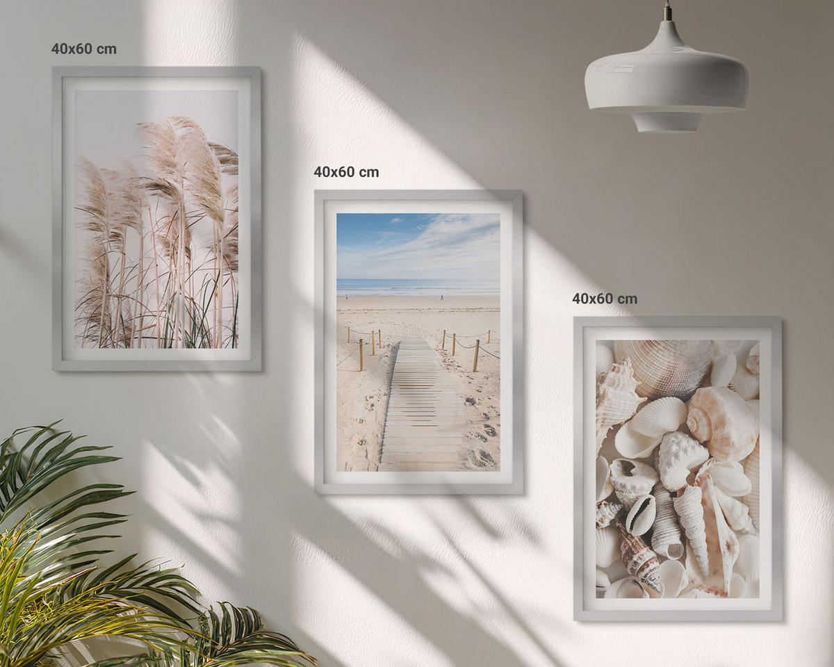 BILDER SET 3er Set - 40x60 cm Silberner Rahmen - Strandmuscheln Seegras - Silberfarben, Kunststoff (40/60cm) - TULUP