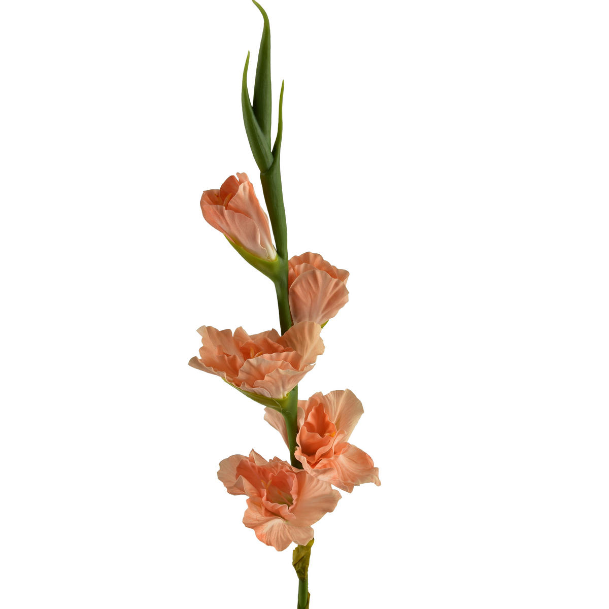 KVĚTINA, plast, bílá - pomerančová, plast (85cm) - Mondex