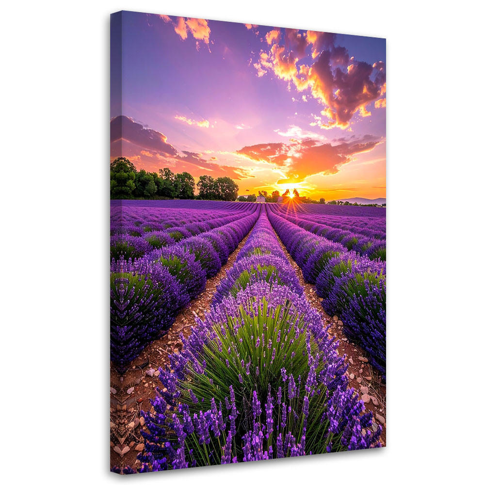 LEINWANDBILD Lavendelfeld Wiese violett 80x120cm - Lila, Textil (80/120cm) - Feeby