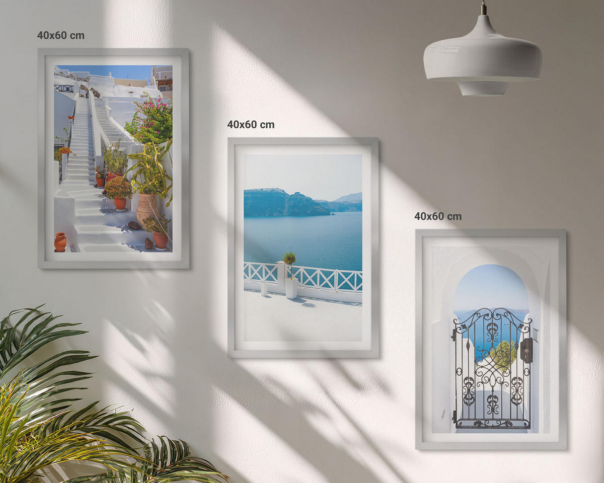 BILDER SET 3er Set - 40x60 cm Silberner Rahmen - Weiße Treppenpflanzen Seetor - Silberfarben, Kunststoff (40/60cm) - TULUP