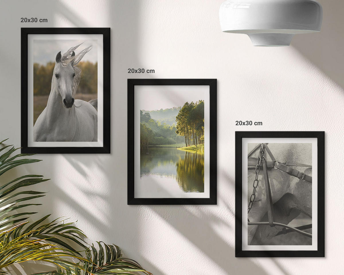 BILDER SET 3er Set - 20x30 cm Schwarzer Rahmen - Natur des Flusses White Horses - Schwarz, Kunststoff (20/30cm) - TULUP