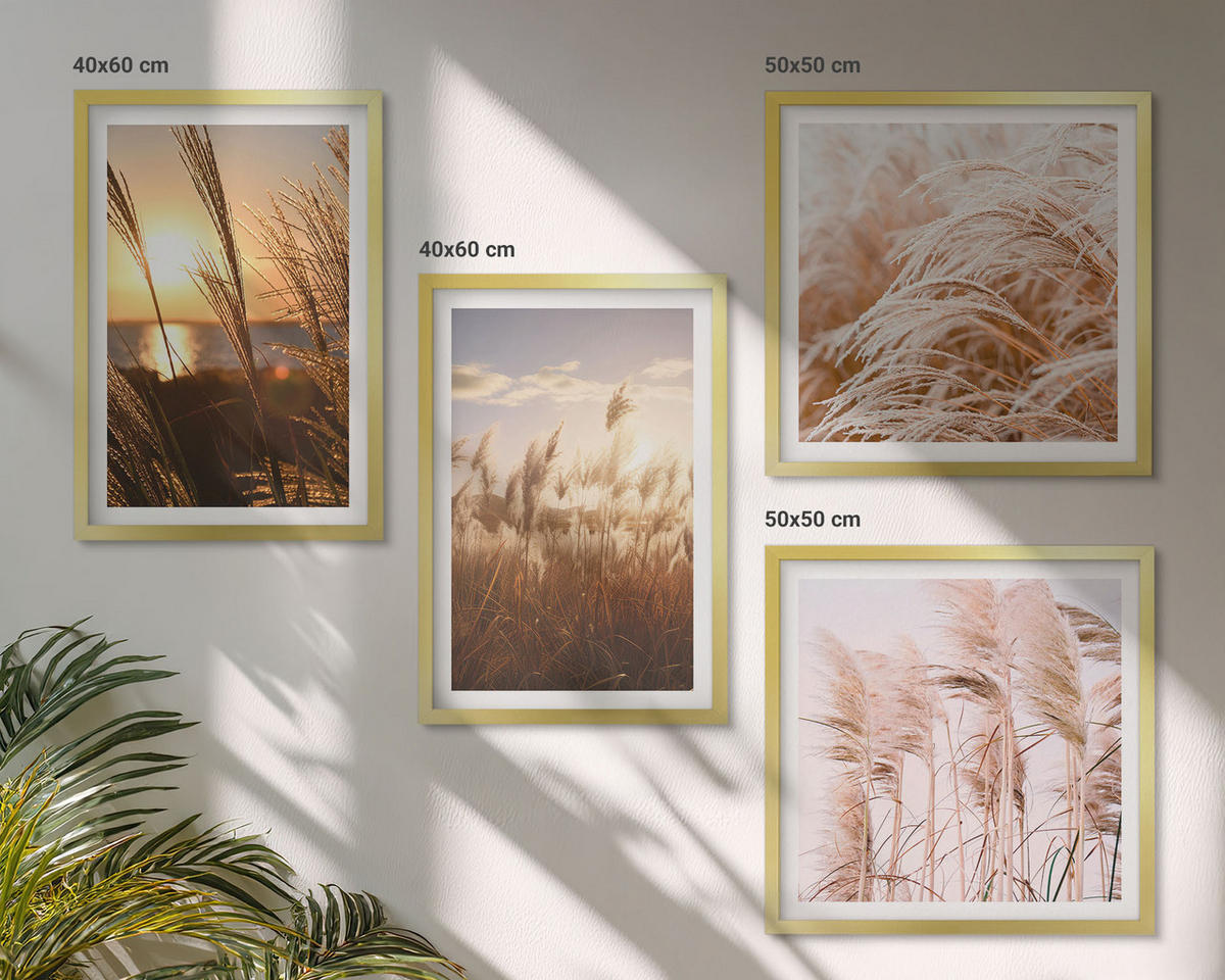 BILDER SET 4er Set - 50x50 cm & 40x60 cm Goldrahmen - Boho-Grasfeld-Sonnenuntergang - Goldfarben, Kunststoff (50/50cm) - TULUP