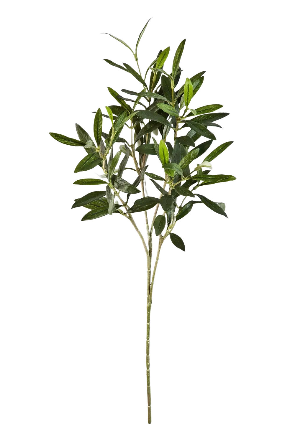 KUNSTPFLANZE Künstlicher Olivenbaum-Zweig - Gero 50 cm - Grün, Kunststoff (50cm) - aplanta