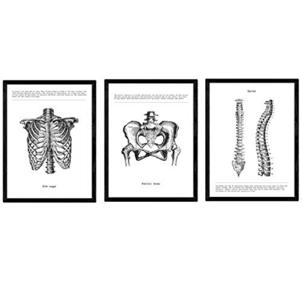 Nacnic Poster Klar 29.7x5x42 cm
