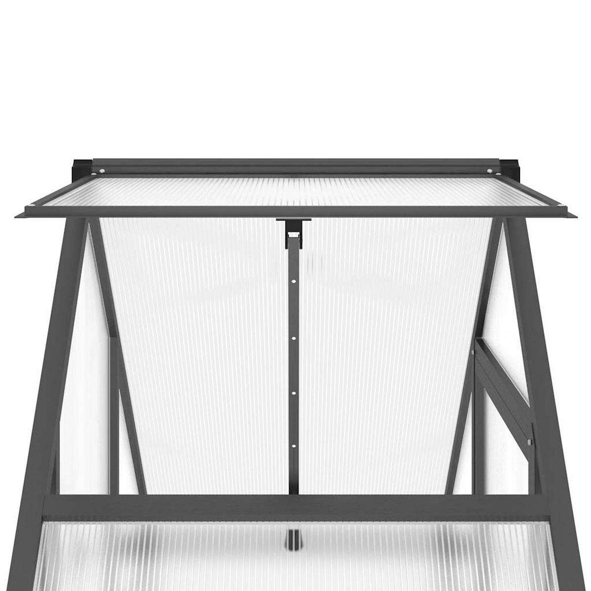 GEWÄCHSHAUS Mit Fundamentrahmen Anthrazit 169/58/195 Cm Alu - Anthrazit, Metall (169/195/58cm) - vidaXL