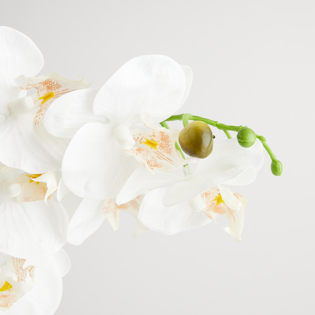 KUNSTPFLANZE Orchesso - Weiß, Kunststoff (57cm) - home&you