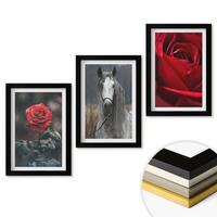 WANDBILDER 3er-Set - 20x30 cm Schwarzer Rahmen - Rote Rosen, Pferdegrau, Welt - Schwarz, Kunststoff (20/30cm) - ArtPrintCave