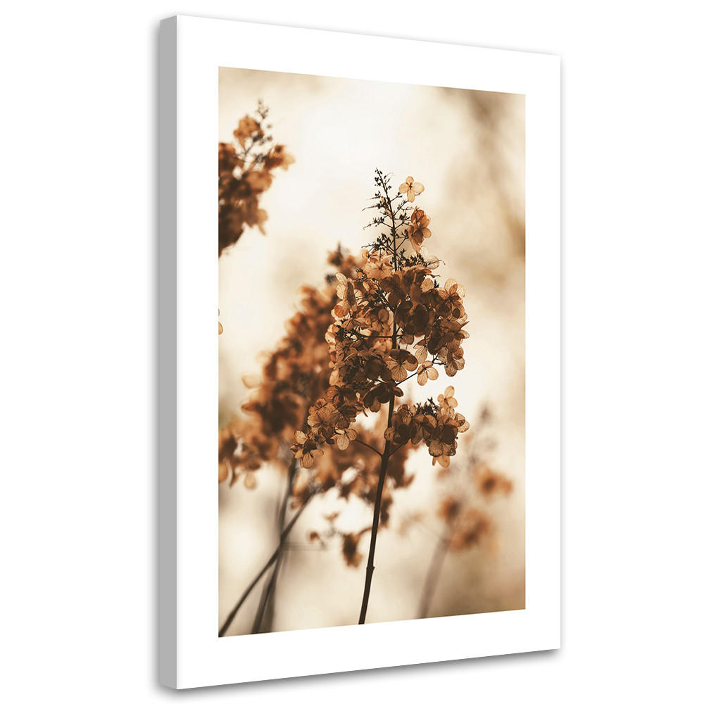 WANDBILD getrocknete hortensienblüte - Beige, Textil (40/60cm) - Feeby