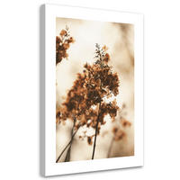 WANDBILD getrocknete hortensienblüte - Beige, Textil (40/60cm) - Feeby