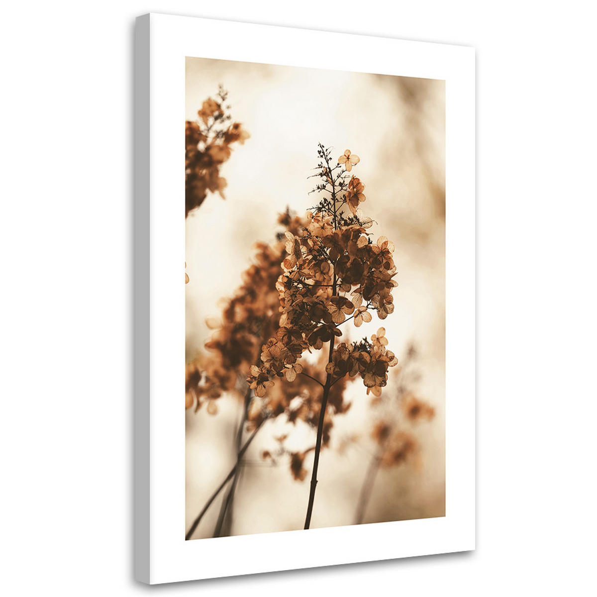 WANDBILD getrocknete hortensienblüte - Beige, Textil (40/60cm) - Feeby