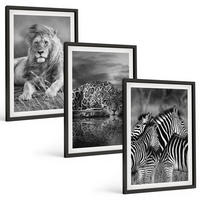 BILDER SET 3er Set - 40x60 cm Schwarzer Rahmen - Wildtiere der Savanne - Schwarz, Kunststoff (40/60cm) - TULUP