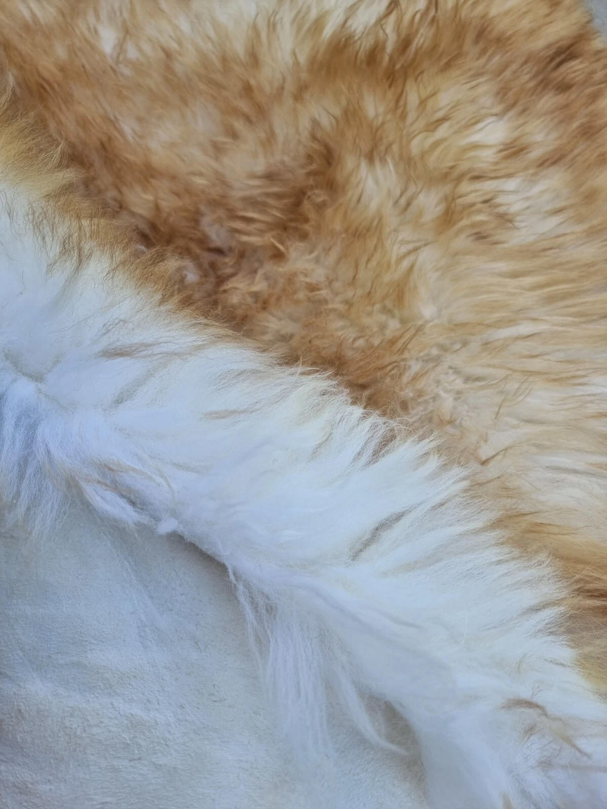 SCHAFFELL Premium Lammfell Natur ungeschoren weiche Wolle Braun Geflammt ca. 115 cm - Braun/Weiß, Fell (65/115cm) - Provellus