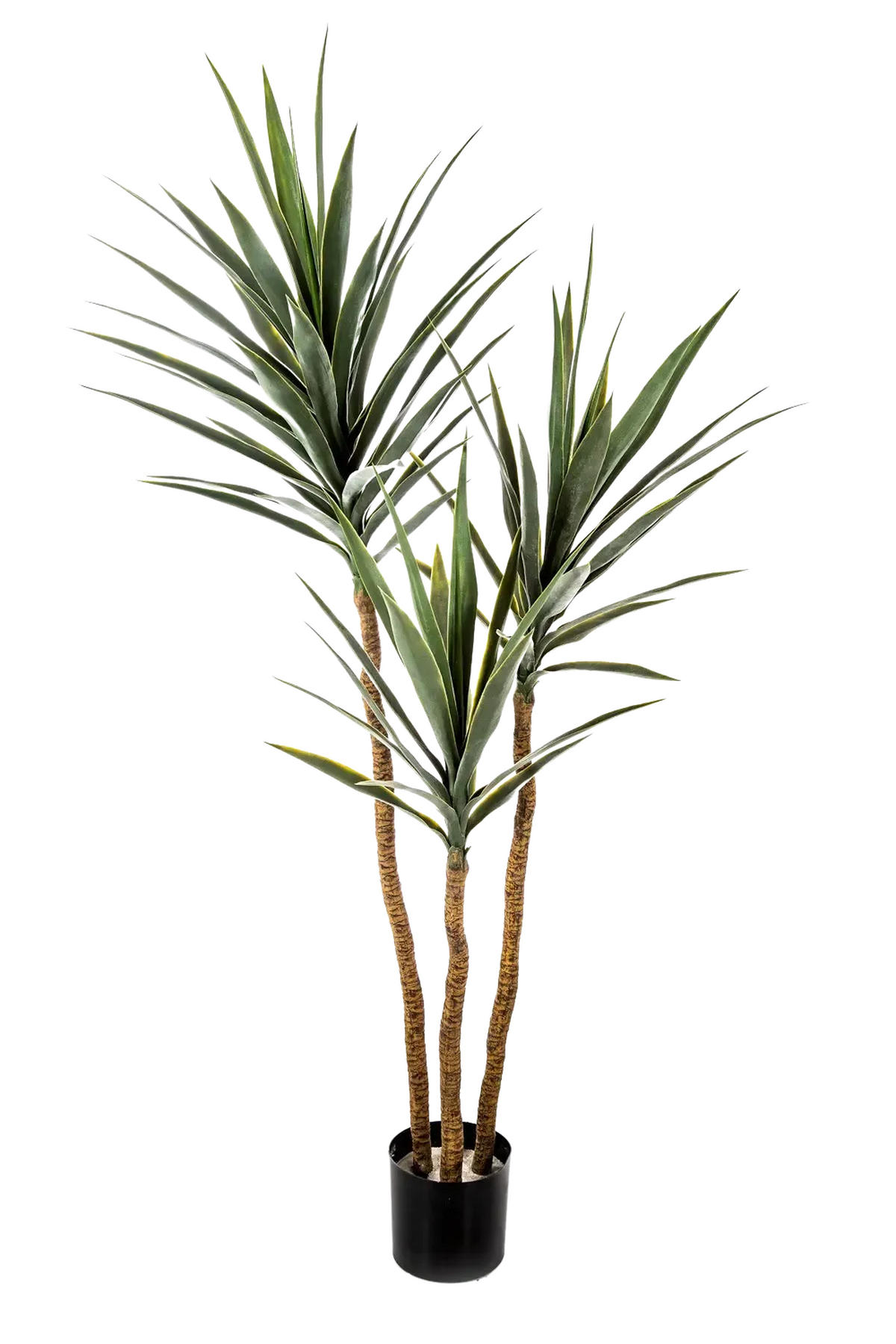 YUCCAS Künstliche Yucca Palme - Ramona 160 cm - Grün, Kunststoff (160cm) - aplanta