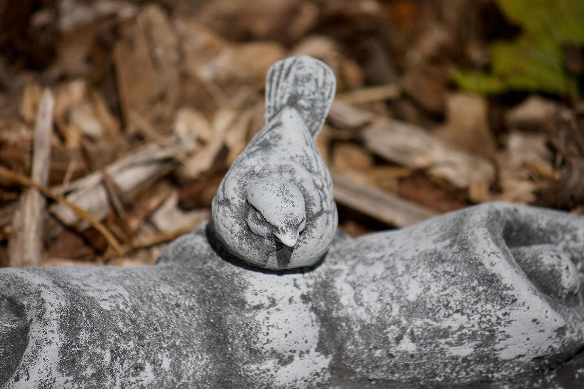 VOGELTRÄNKE Muschel mit steckbaren Vogel frostfest Steinguss - Grau, Stein (35/4/28cm) - stoneandstyle