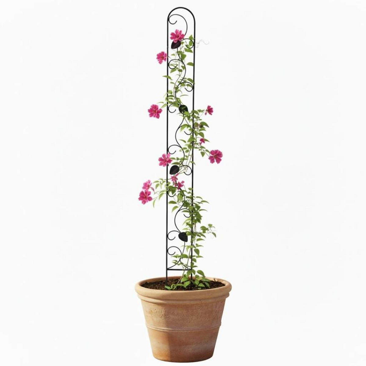 DANDIBO Rankhilfe Metall Rankgitter 140 cm Schwarz Rankstab Kletterhilfe Bodenstecker 96249 Blumenhalter Ranksäule - Schwarz, Metall (11.5/146/1.5cm) - DanDiBo