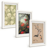 BILDER SET 3er Set - 20x30 cm Weißer Rahmen - Blumen, Vögel, Natur - Weiß, Kunststoff (20/30cm) - TULUP
