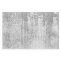 GLASPLATTE für Kamin 60x40 cm - Grau, Glas (60/40/0.4cm) - TULUP