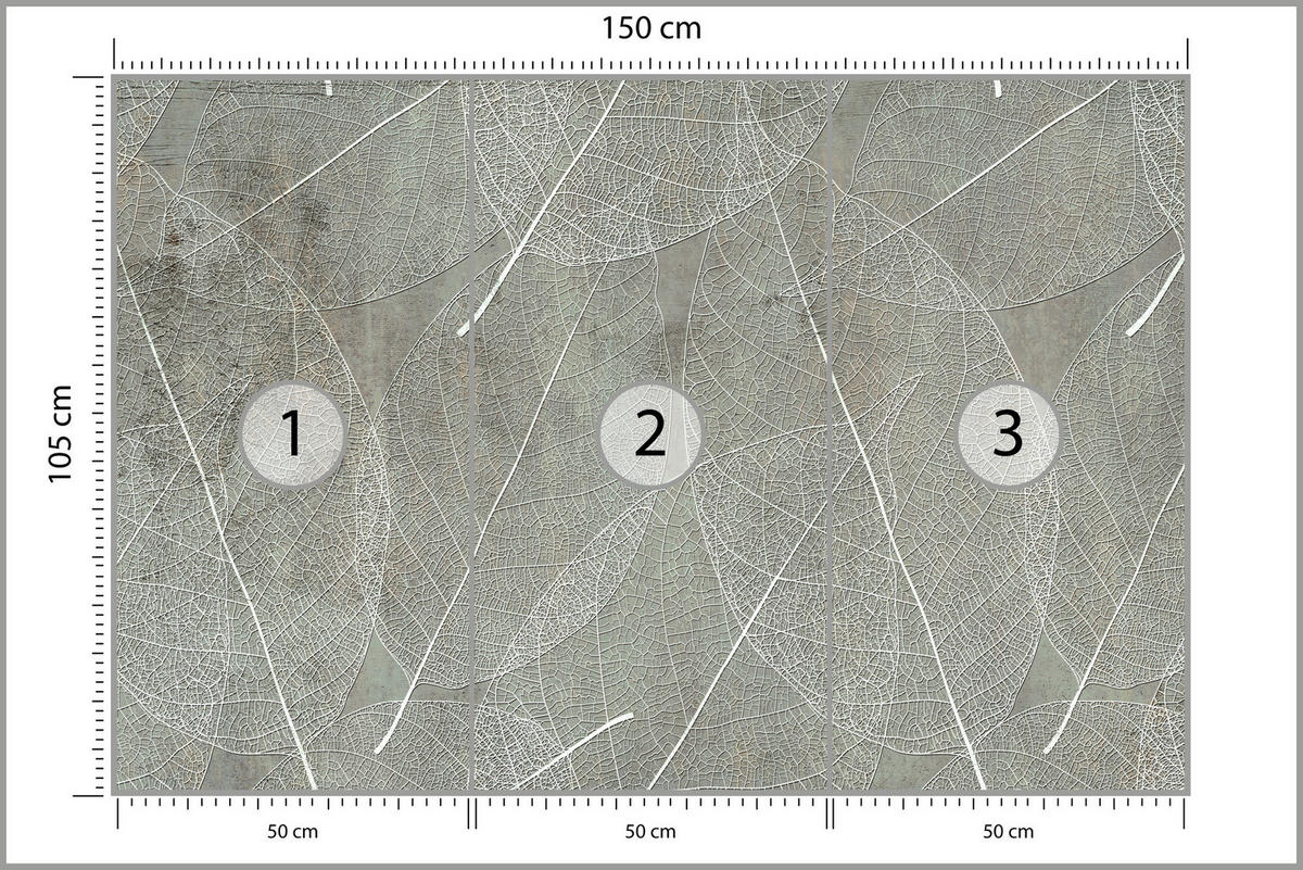FOTOTAPETE für Schlafzimmer Weiße Blätter auf Beton 150x105 - Weiß/Grau, Papier (150/105cm) - Muralo