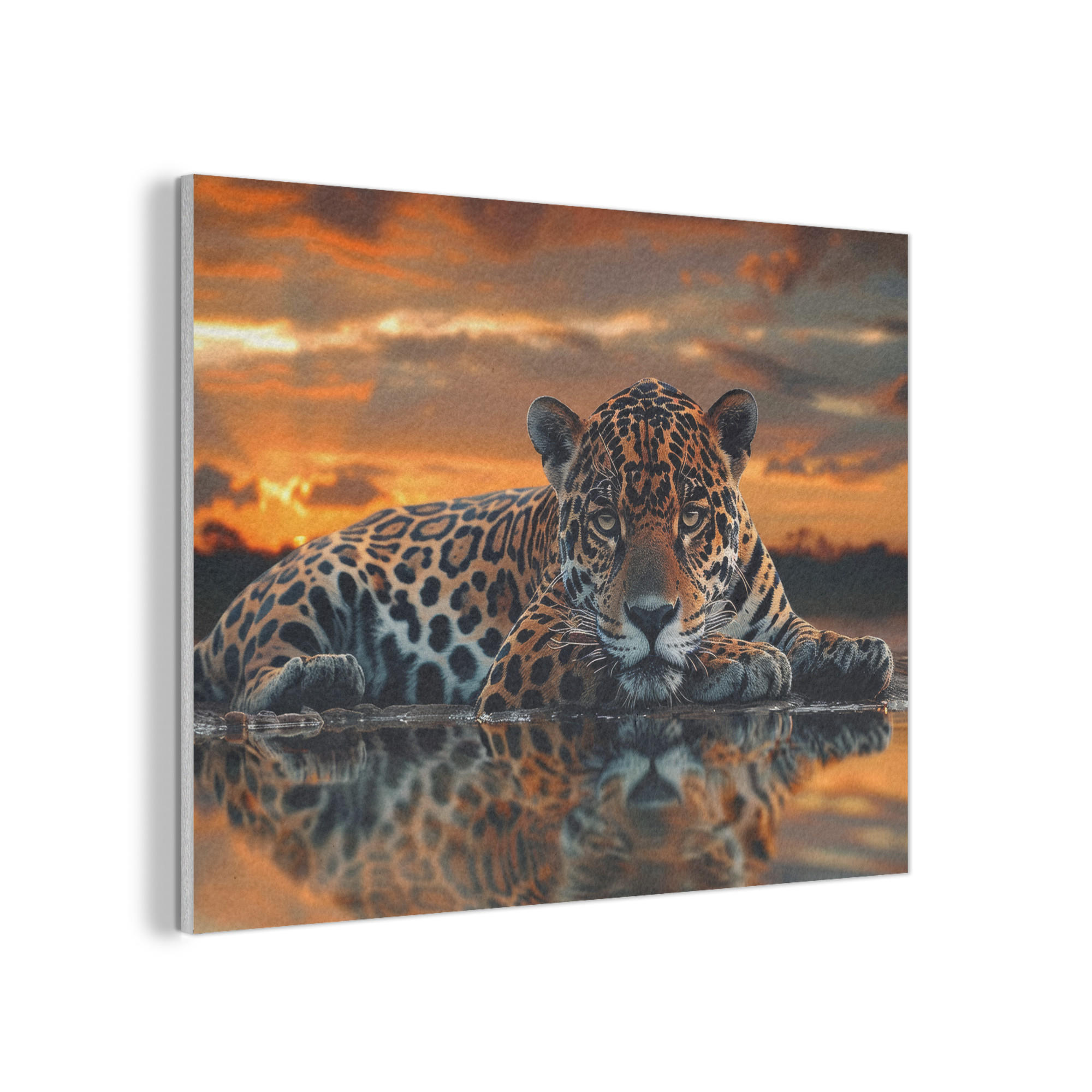 AKUSTIKPANEEL Natur - Leopard - Tier - Sonnenuntergang - Modern 80x60 cm - Orange, Textil (80/0.9/60cm) - MuchoWow