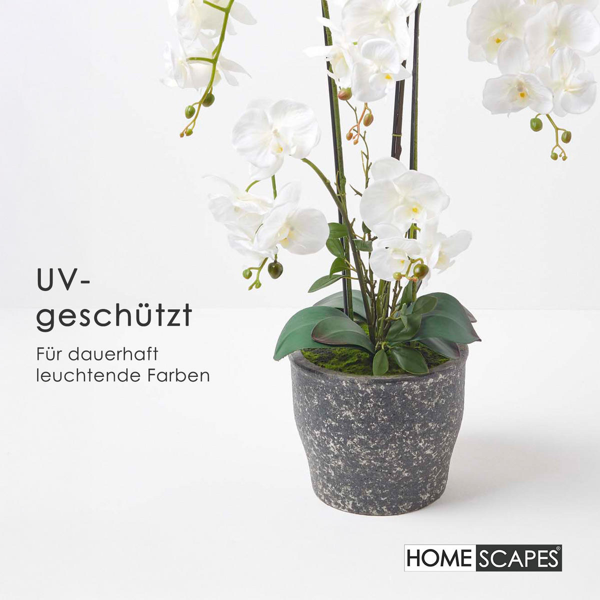 KUNSTBLUME Orchidee weiß im Deko-Topf, 82 cm - Weiß, Kunststoff (82cm) - Homescapes