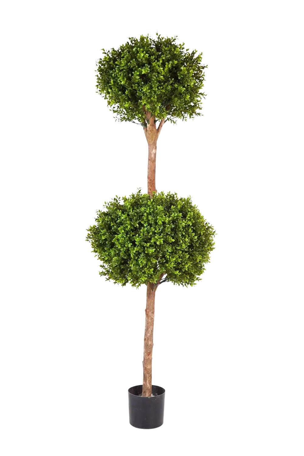 KUNSTBAUM Künstlicher Buchsbaum - Ruben 165 cm - Grün, Kunststoff (165cm) - aplanta