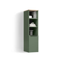 UNIVERSALSCHRANK Piave Grün mit einer Tür - Grün, Holzwerkstoff (30.2/120/40cm) - Livinity®