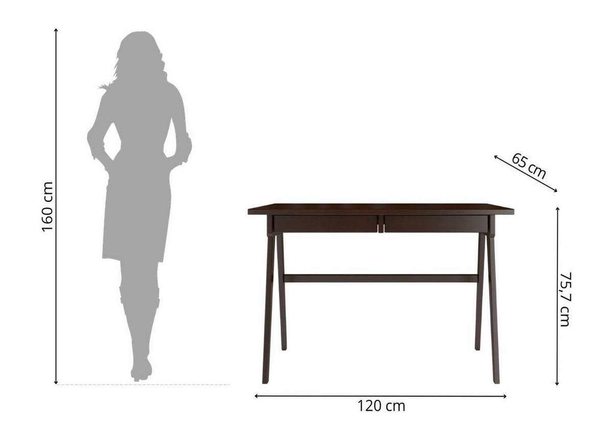 SCHREIBTISCH Edda, 120/65/75 cm in Palisanderfarbe, Buchenholz - Wengefarben, Holz/Buchenholz (65/120/75.5cm) - Visby