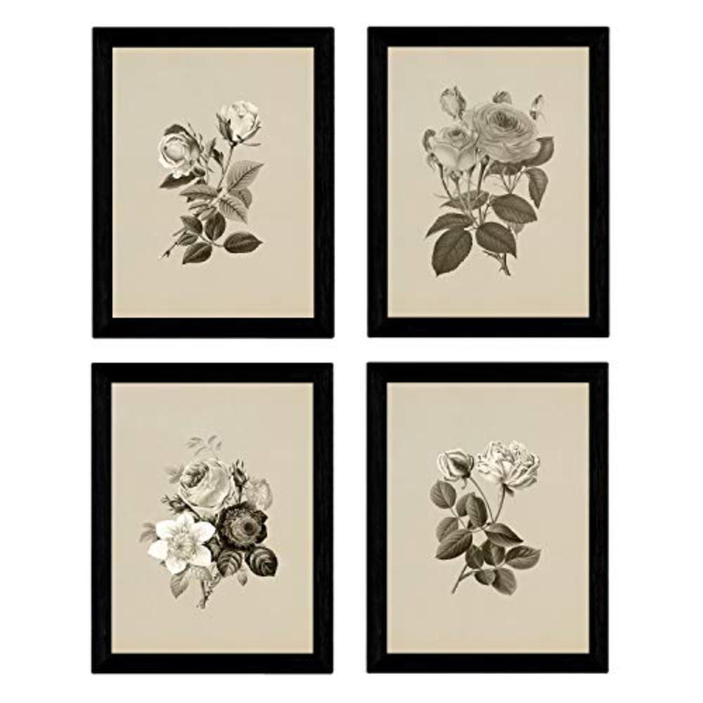 POSTER Set mit 4 Botanische Jahrgang Hintergrund Rosen A3 Rahmenlos - Klar, Papier (29.7/3cm) - Nacnic