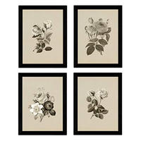 POSTER Set mit 4 Botanische Jahrgang Hintergrund Rosen A3 Rahmenlos - Klar, Papier (29.7/3cm) - Nacnic