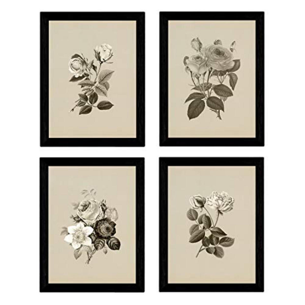 POSTER Set mit 4 Botanische Jahrgang Hintergrund Rosen A3 Rahmenlos - Klar, Papier (29.7/3cm) - Nacnic