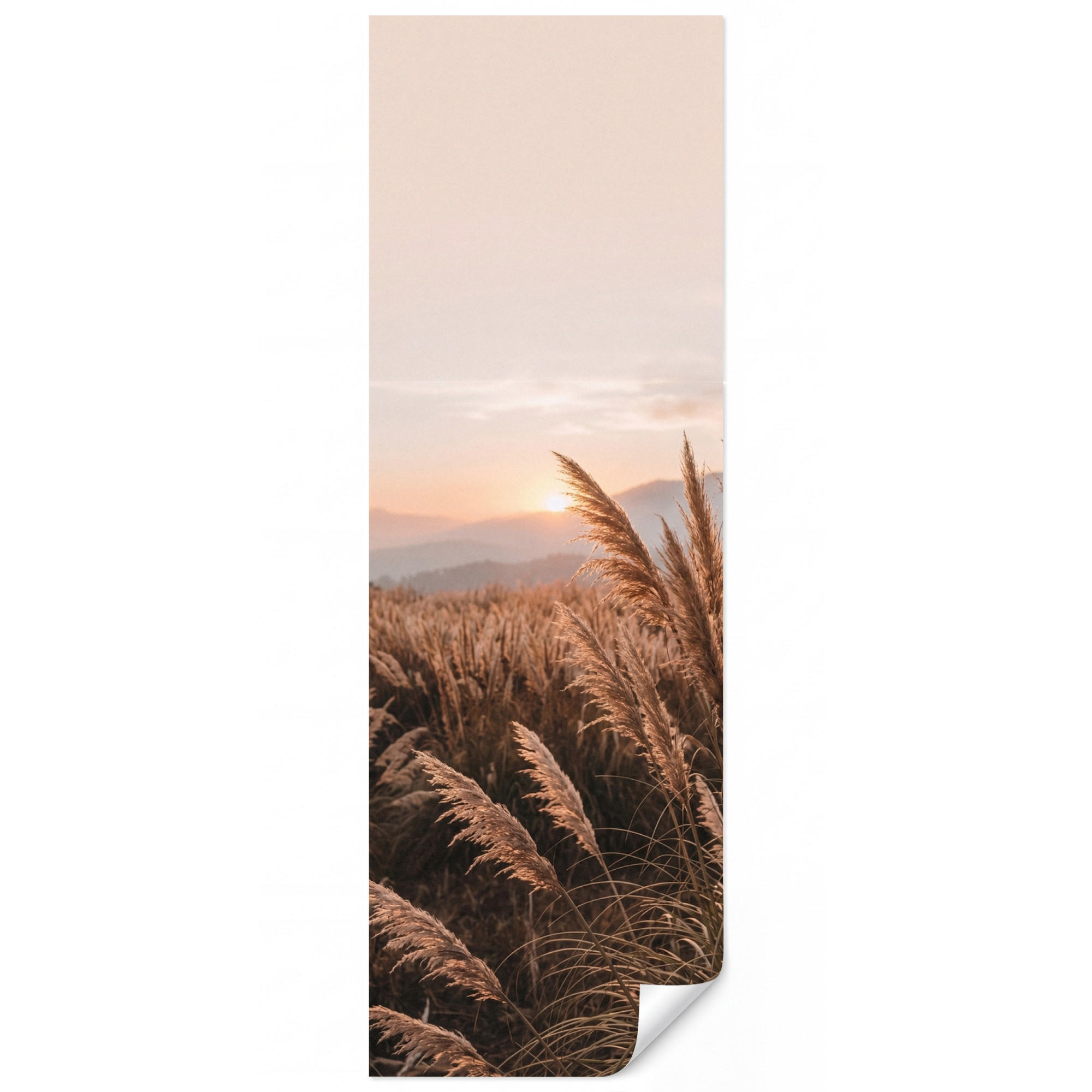 OnlyWow Tapete Sand 100x300 cm