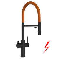 NIEDERDRUCK-3-WEGE-KÜCHENARMATUR, Schwarz Matt und Orange, 2-Strahl-Brause - Orange, Metall (20.61/48/20.61cm) - VIZIO