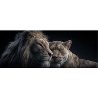 GLASBILD 80x30 cm Löwen - Beige, Glas (80/30cm) - artissimo