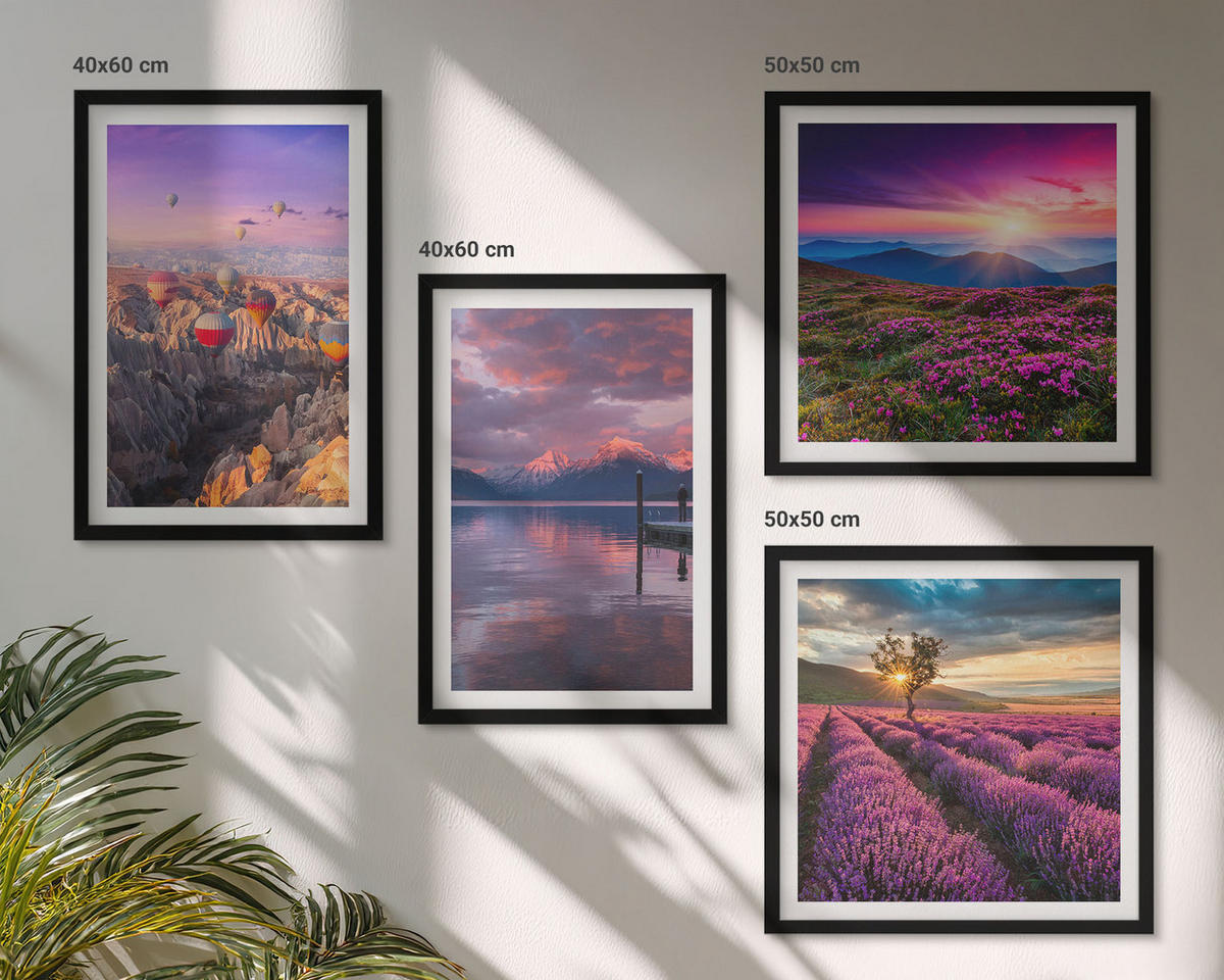BILDER SET 4er Set - 50x50 cm & 40x60 cm Schwarzer Rahmen - Sonnenuntergang auf Lavendelfeldern - Schwarz, Kunststoff (50/50cm) - TULUP