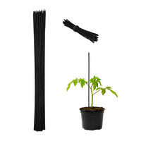 50XBAMBUSOVÉ tyče - čierna, kov/drevo (0.6/60/0.6cm) - Relaxdays